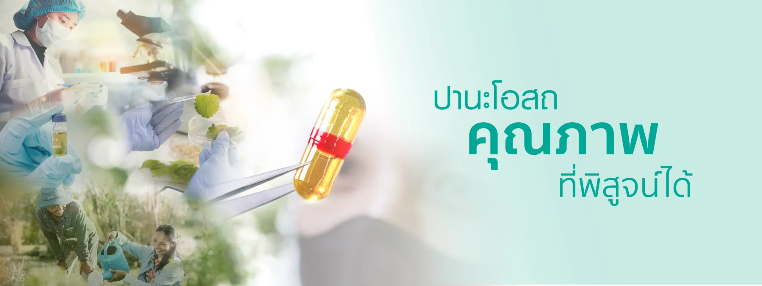 ปานะโอสถโรงงานผลิตอาหารเสริมคุณภาพ