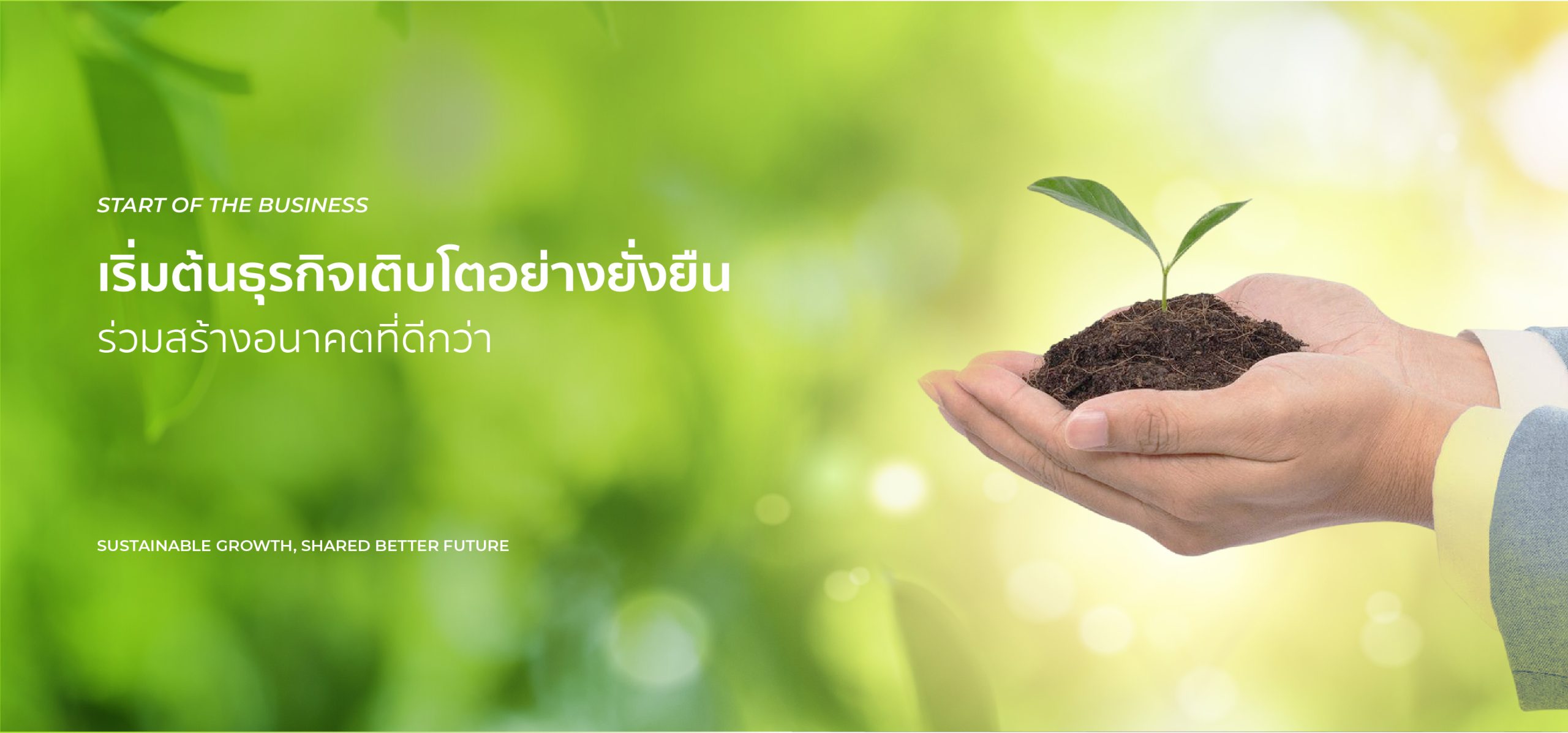 พัฒนาอาหารเสริม