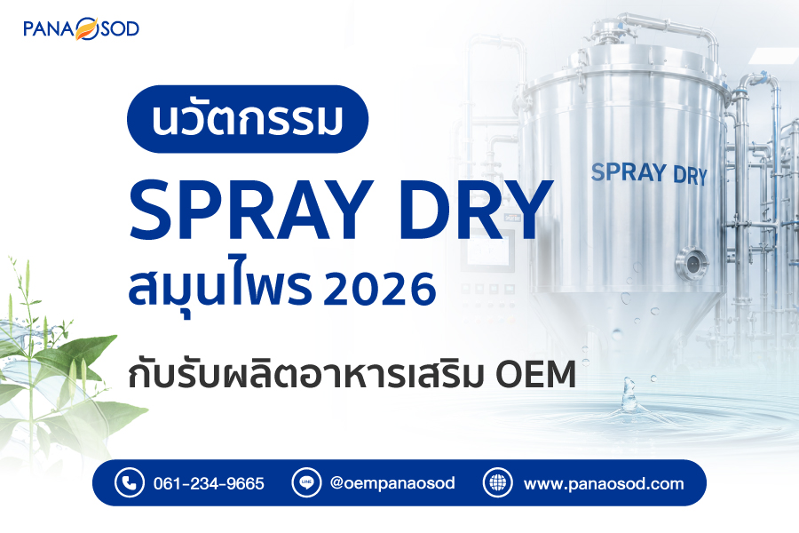 Panaosod-นวัตกรรม-Spray-Dry-สมุนไพร-2026