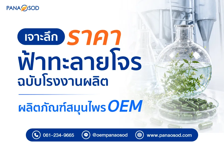 เจาะลึกราคาฟ้าทะลายโจร