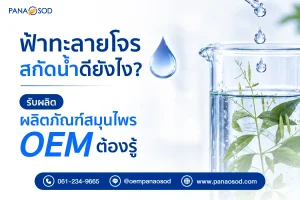 ฟ้าทะลายโจรสกัดน้ำดียังไง