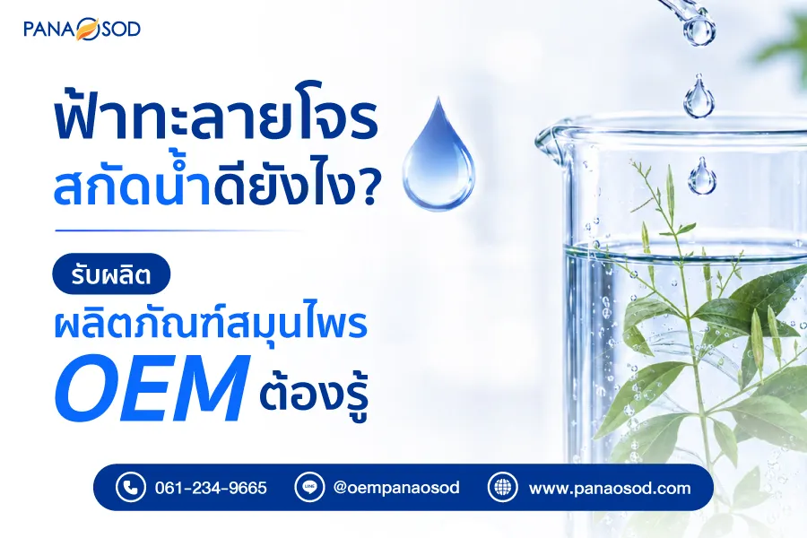 ฟ้าทะลายโจรสกัดน้ำดียังไง